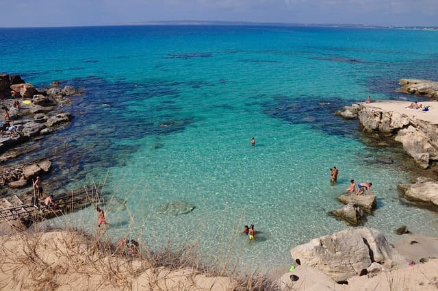 Restaurantes veganos y vegetarianos en Formentera