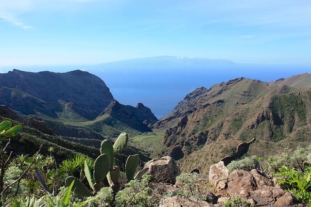 Restaurantes veganos y vegetarianos en La Gomera